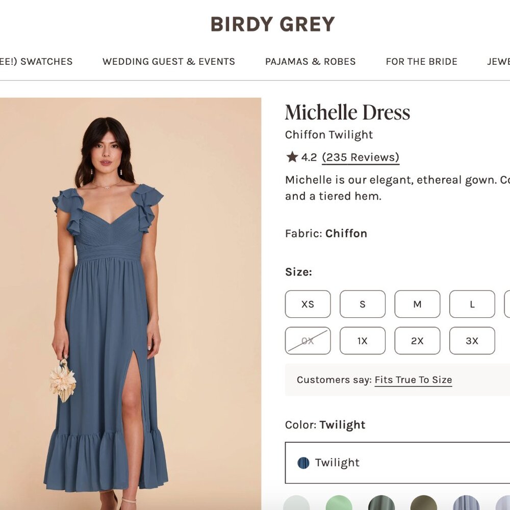 Birdy Grey Michelle Dress in Twilight